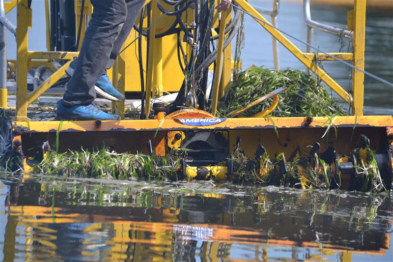 Upper Nemahbin Dredging Project - work in progress