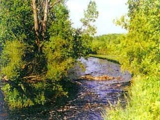 Nemahbin Mill Pond